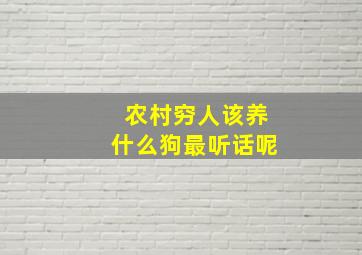 农村穷人该养什么狗最听话呢