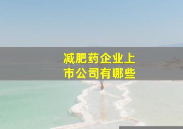 减肥药企业上市公司有哪些