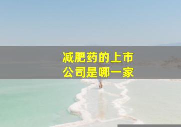 减肥药的上市公司是哪一家