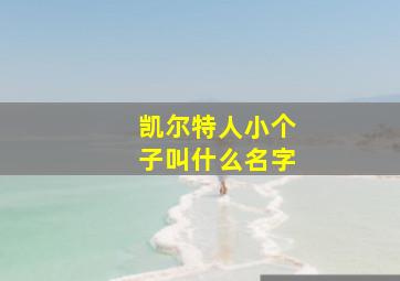 凯尔特人小个子叫什么名字