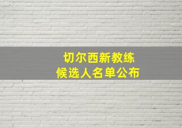 切尔西新教练候选人名单公布