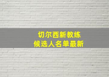 切尔西新教练候选人名单最新