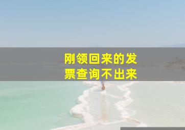 刚领回来的发票查询不出来