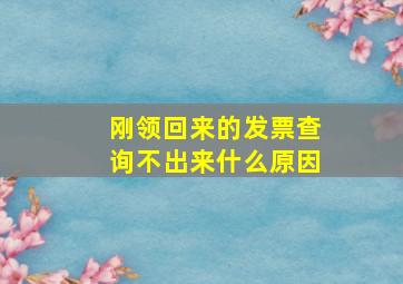 刚领回来的发票查询不出来什么原因