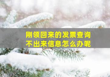 刚领回来的发票查询不出来信息怎么办呢