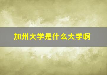 加州大学是什么大学啊