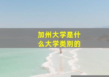 加州大学是什么大学类别的