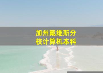 加州戴维斯分校计算机本科