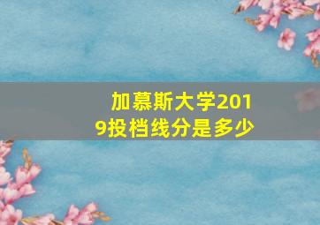 加慕斯大学2019投档线分是多少