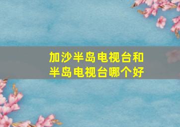 加沙半岛电视台和半岛电视台哪个好