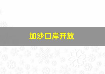 加沙口岸开放