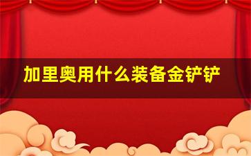 加里奥用什么装备金铲铲