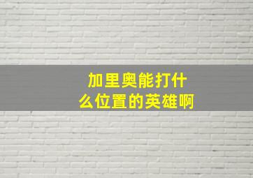 加里奥能打什么位置的英雄啊