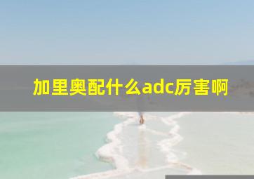 加里奥配什么adc厉害啊