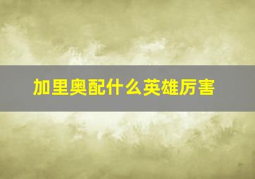 加里奥配什么英雄厉害