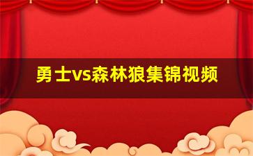 勇士vs森林狼集锦视频