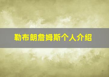 勒布朗詹姆斯个人介绍