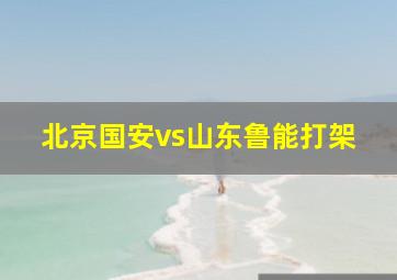 北京国安vs山东鲁能打架