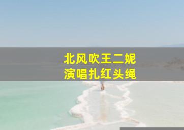 北风吹王二妮演唱扎红头绳