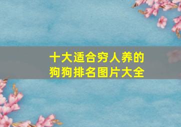 十大适合穷人养的狗狗排名图片大全