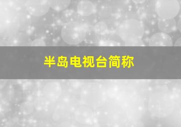 半岛电视台简称