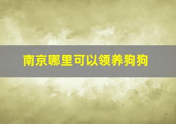 南京哪里可以领养狗狗