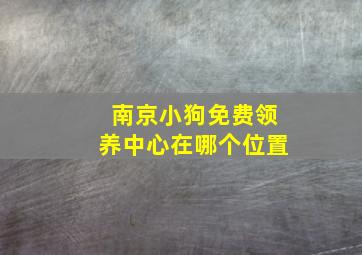 南京小狗免费领养中心在哪个位置