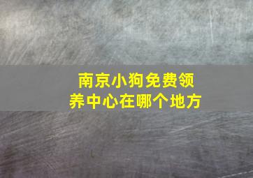 南京小狗免费领养中心在哪个地方