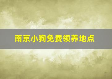 南京小狗免费领养地点