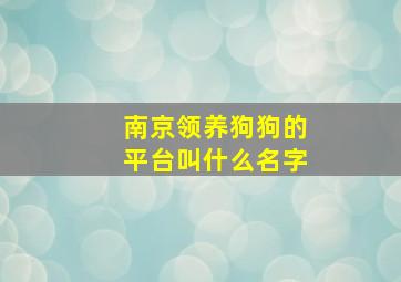 南京领养狗狗的平台叫什么名字