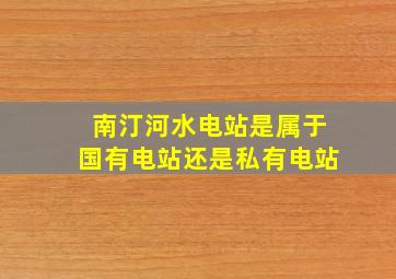 南汀河水电站是属于国有电站还是私有电站