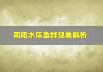 南阳水库鱼群现象解析