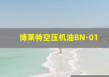 博莱特空压机油BN-01