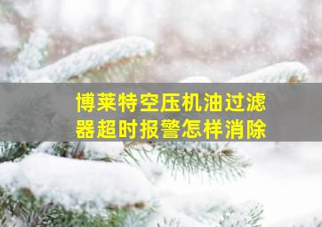 博莱特空压机油过滤器超时报警怎样消除