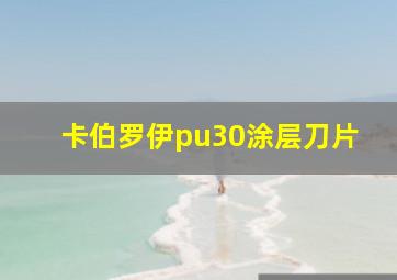 卡伯罗伊pu30涂层刀片