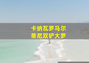 卡纳瓦罗马尔蒂尼双铲大罗