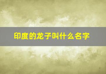 印度的龙子叫什么名字