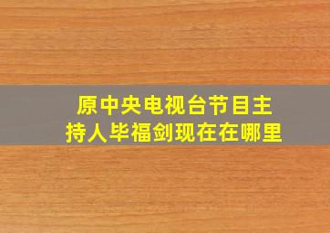 原中央电视台节目主持人毕福剑现在在哪里