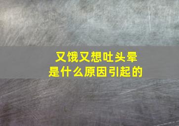 又饿又想吐头晕是什么原因引起的