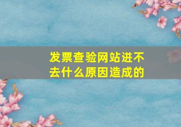 发票查验网站进不去什么原因造成的