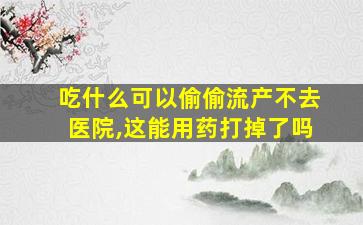 吃什么可以偷偷流产不去医院,这能用药打掉了吗