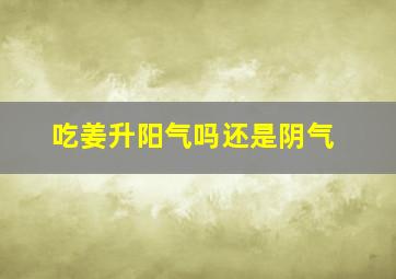 吃姜升阳气吗还是阴气