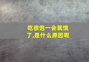 吃很饱一会就饿了,是什么原因呢