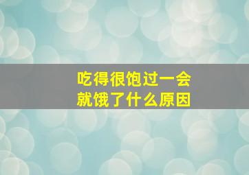 吃得很饱过一会就饿了什么原因