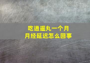 吃逍遥丸一个月月经延迟怎么回事