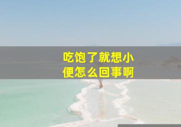 吃饱了就想小便怎么回事啊