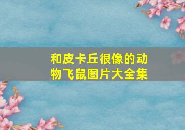 和皮卡丘很像的动物飞鼠图片大全集