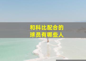 和科比配合的球员有哪些人