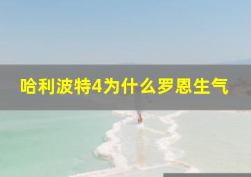 哈利波特4为什么罗恩生气