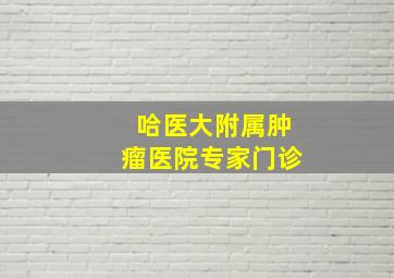 哈医大附属肿瘤医院专家门诊